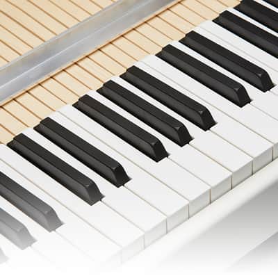 Mellotron M4000D Digital Mellotron image 5