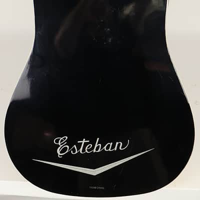 Esteban Eldorado Limited Edition Cadillac Acoustic Electric Guitar w/ gig bag image 6