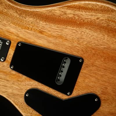 2023 - PRS CE 24 Semi-Hollow - Eriza Verde #364614 image 12