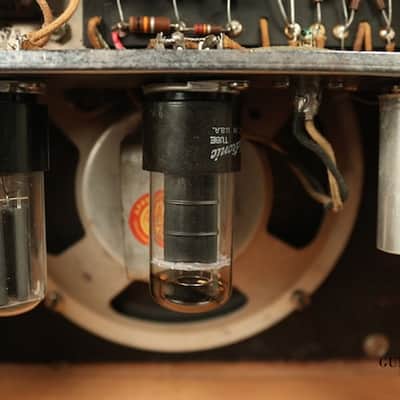 1960 Fender Champ Amp Tweed 5F1 - Narrow Panel image 8
