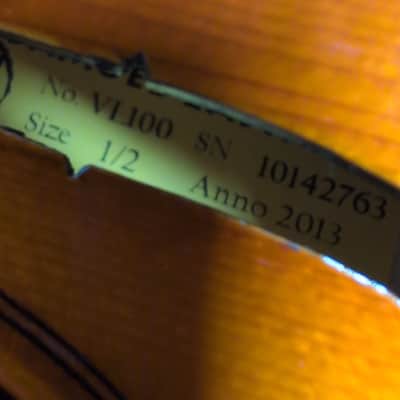 Eastman VL100 2013 - Narural image 5