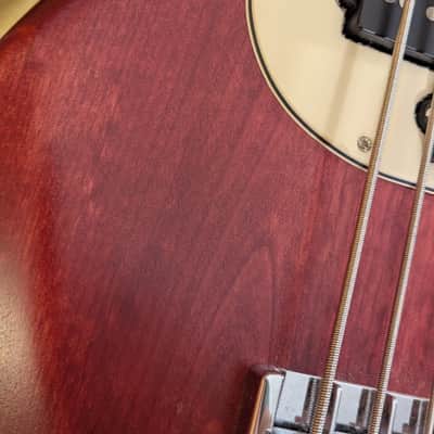 Alien Audio Constellation 5 String Bass image 9
