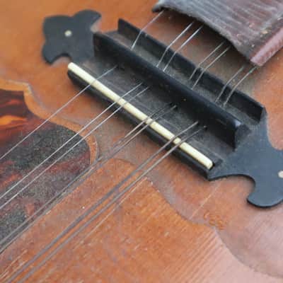 Mandoline Gelas image 11