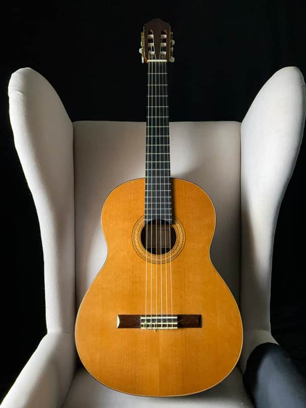 Fratelli Lodi Cedar Brazilian Rosewood Classical image 1