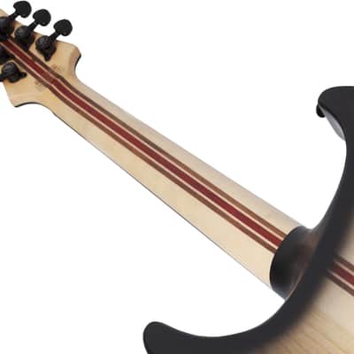 Schecter C-1 Pale Moon Natural Satin with Black Burst image 10