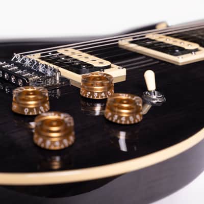 Washburn Hawk 6-String Trans Black image 3