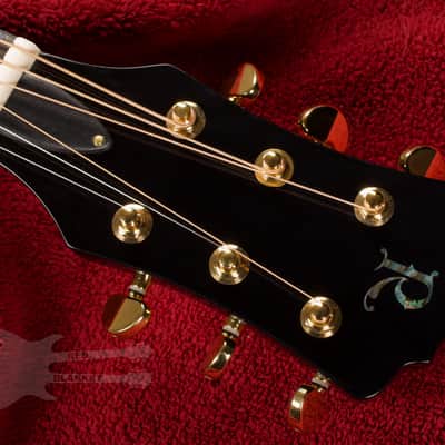 B.C. Rich Acoustic Cutaway 6 -String - Black - W/Matrix Infinity VT & Hardcase image 9