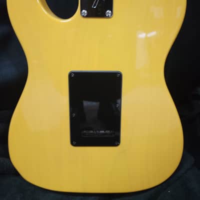 Partscaster T-Style TremKing - Butterscotch image 4