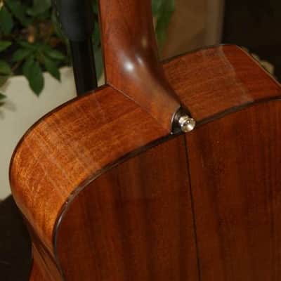 Alvarez MD60 Masterworks A60 series dreadnought image 11