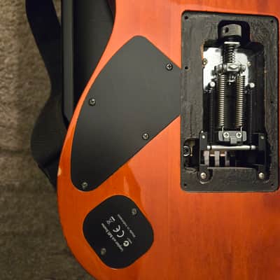 Ibanez RG920QMZ-LI Premium 2011 - 2014 - Liquid Inferno image 8