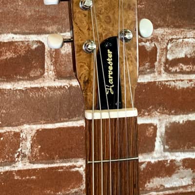 Harvester Guitars Lupine Short Scale Ser # 114 New/ 2020 Aged Pelham Blue (Authorized Dealer) image 14