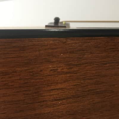 Vintage Fender Dreadnought Acoustic Guitar Spruce Top 1990s Natural Satin Players Campfire Guitar image 11