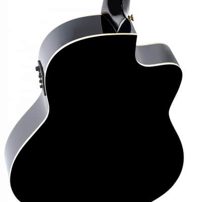 Ortega Family Series Pro RCE145L Left-Handed 2020s - Black image 5
