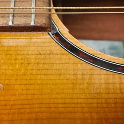 Breedlove Discovery Concert ED 12 St CE 2021 - Gloss Edgeburst Finish-READ DETAILS image 19