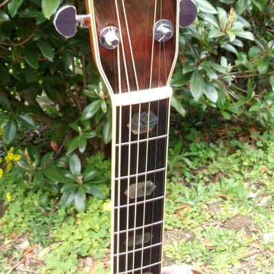 1976 Yairi YW-600 Dreadnought Guitar New Jacaranda + Vintage Hard Case image 5