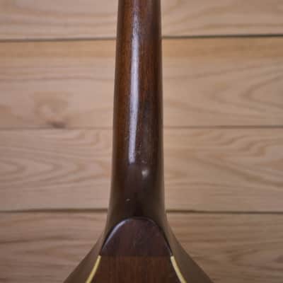 Regal Mandolin 1920s - Natural image 8