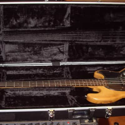Wal Pro Bass 1979 Natural 1 pickup RARE image 20