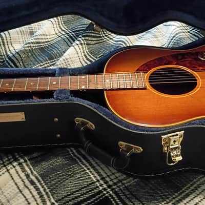 1964 Epiphone Cortez- Kalamazoo made, fantastic tone! image 1