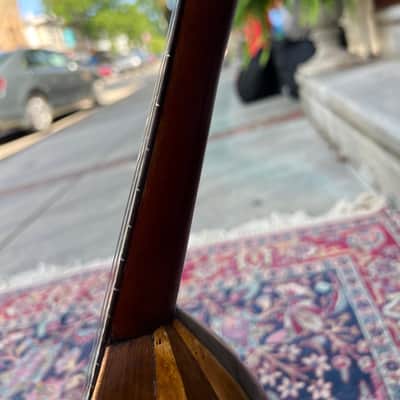 Antique William Tonk & Bros Bowl Back Mandolin “The Edwin”~Early 1900’s, Restored~New Price Drop! image 12