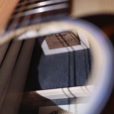 Martin D-X2E 12-string Acoustic-electric Guitar - Brazilian Rosewood Pattern 0457 image 17