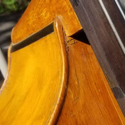 Wurlitzer / Josef Novotny Czech Flatback Upright Bass -1927 fully restored Price Drop image 6