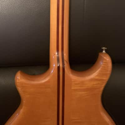 Alembic ALEMBIC Series One 77 I image 11