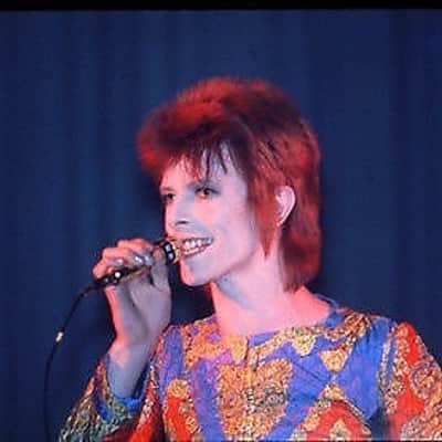 AKG D 1000 C 70s 24K Gold David Bowie image 3