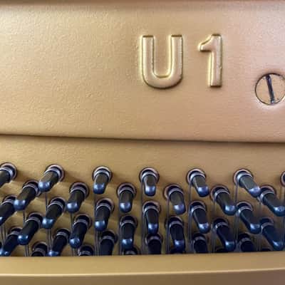 Yamaha U1 PIANOFORTE VERTICALE NERO LUCIDO image 9