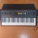 Roland RS-09 MKII 44-Key Organ / String Synthesizer 1980s - Black with Colored Buttons