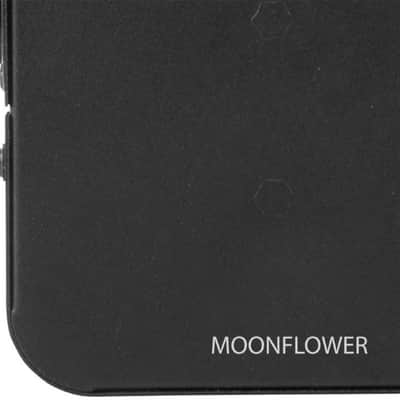 Chauvet Dj JAM Pack Silver With Moonflower, Three-Color Wash Effect Light, And A UV Strobe Combo Light image 5