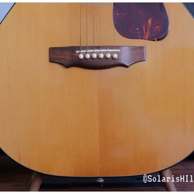 Guild F-30nit Aragon circa 1971 s#59669 Bild 6