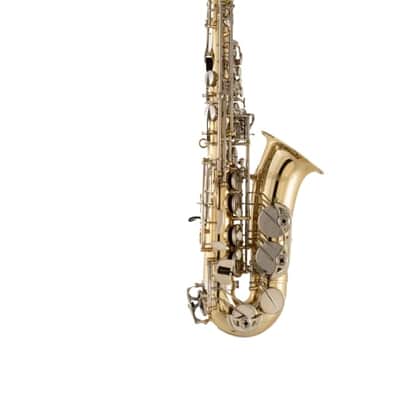 Selmer SAS301 Alto Saxophone Outfit image 1