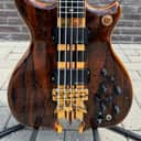 Alembic Series II 5-string Cocobolo