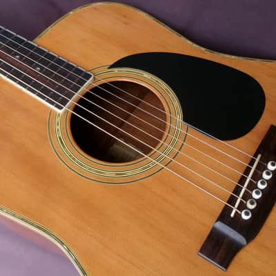 1976 Yairi YW-500P D-35 style image 12