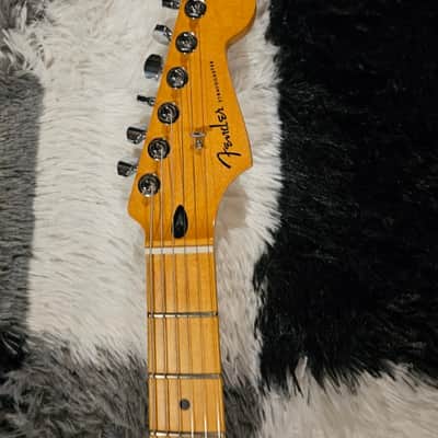 Fender Player Plus HSS with Gator Case, strap locks, and D'Addario strap image 6