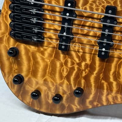Parker USA FB-5 fb5 Fly 5-string Bass image 4