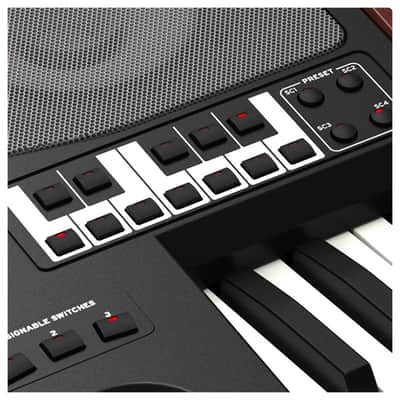 Korg Pa700 Oriental image 3