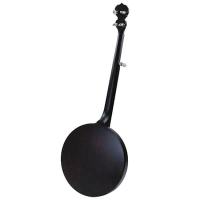 Deering Artisan Goodtime Special 5-String Banjo image 2