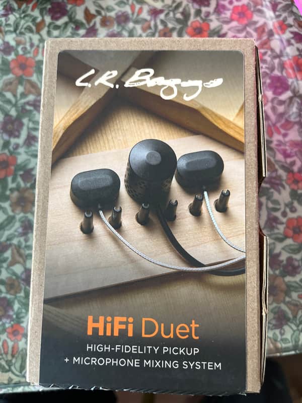Lr Baggs HiFi Duet image 1