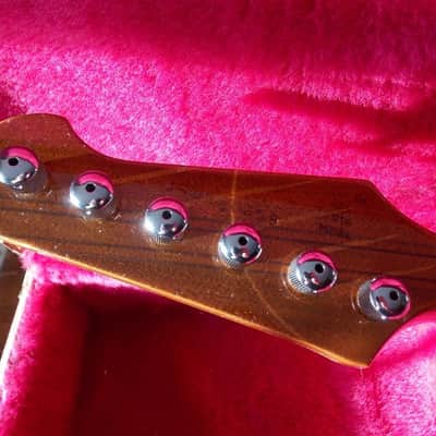 Gibson 2014 Firebird Vintage Sunburst 120th Anniversary image 6