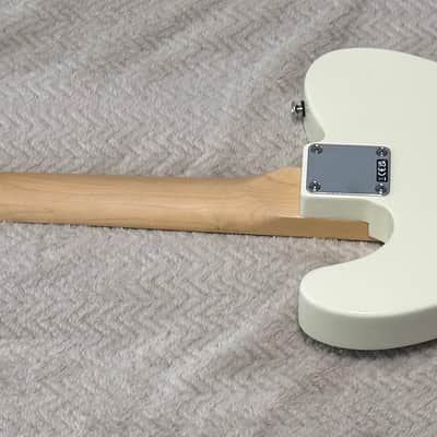 Fender Telecaster 2025 Camp Flog Gnaw Limited Edition w/ Bag image 2