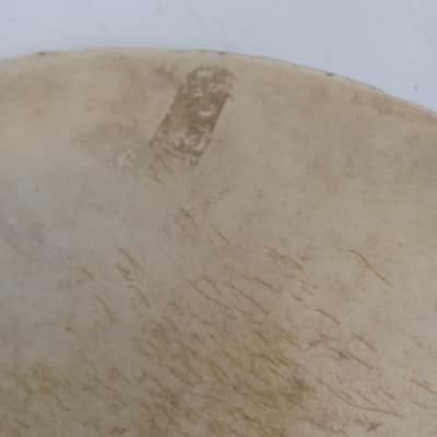 Leedy 16" 20s Calf Skin Floor Tom Drum Batter/Resonant Head USA Marching Snare image 8