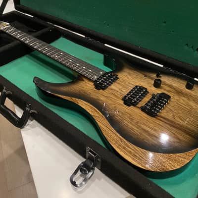 LSL Instruments XT4 Electric Guitar image 1