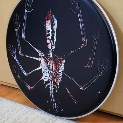 Tool, PAIR of 22" Fear Inoculum Bass Drumheads, Danny Carey image 6