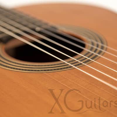 Alhambra Linea Profesional Cedar Classical Guitar image 6