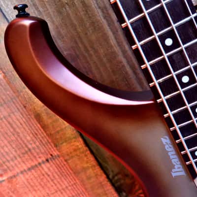 Ibanez EHB600-CCM Bass Workshop - Charred Champagne Burst Matte image 5