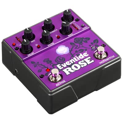 Rose Delay Eventide Bild 1