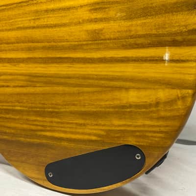 Galveston Singlecut Acoustic Electric Resonator Guitar image 15