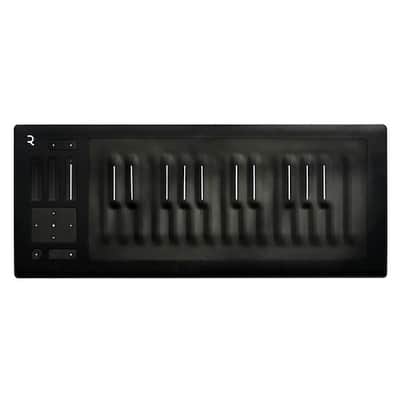 ROLI Seaboard RISE 25 | Reverb