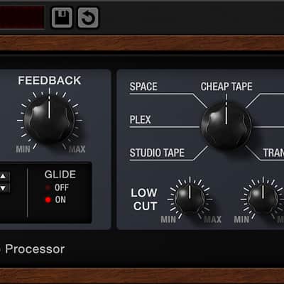 Soundtoys EchoBoy Jr. Analog Echo Modeler image 1